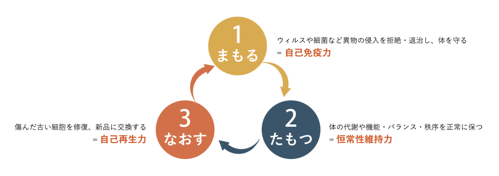1.まもる、2.たもつ、3.なおす
